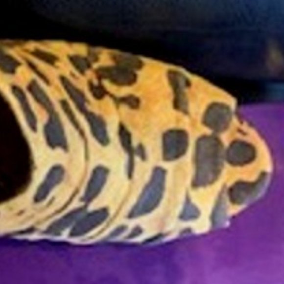 Libby Edelman Leather/Suede Pleated Leopard Print Heel Peep Toe Booties Shoes 7M - Picture 6 of 6